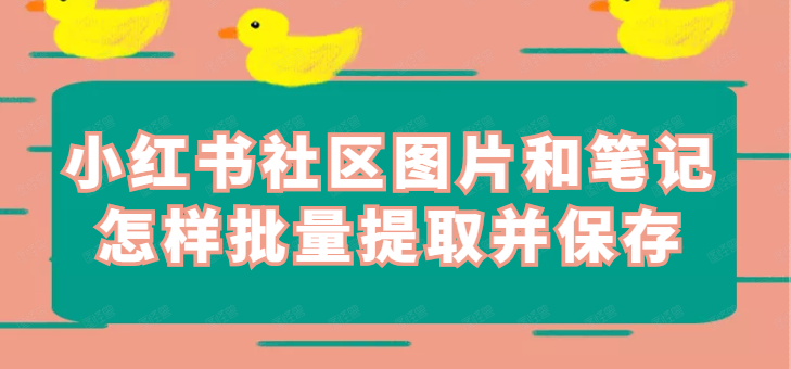 如何保存小红书原图（小红书的图片怎么保存原图）