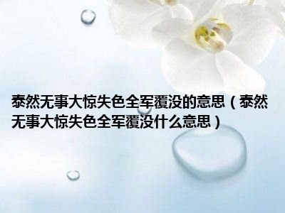 泰然无事大惊失色全军覆没的意思（泰然无事大惊失色全军覆没什么意思）