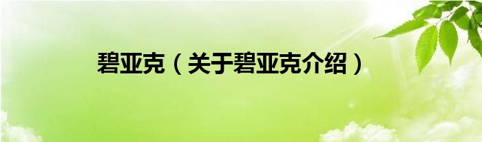  碧亚克（关于碧亚克介绍）