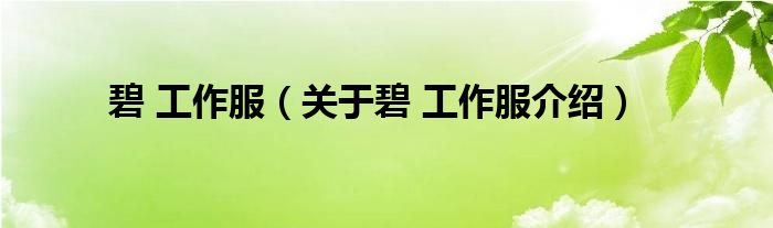  碧 工作服（关于碧 工作服介绍）