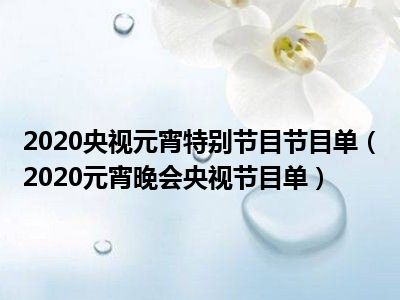 2020央视元宵特别节目节目单（2020元宵晚会央视节目单）