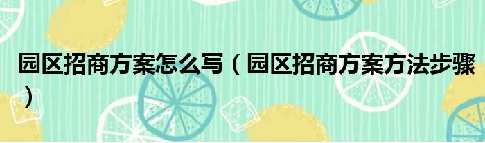 园区招商方案怎么写（园区招商方案方法步骤）