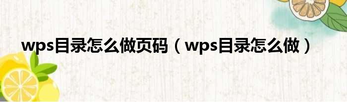 wps目录怎么做页码（wps目录怎么做）