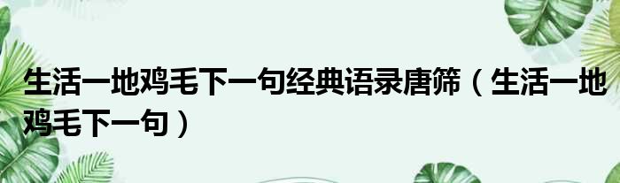 生活一地鸡毛下一句经典语录唐筛（生活一地鸡毛下一句）