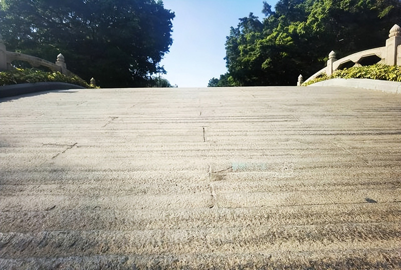 你所知道的黄花岗七十二烈士有哪些（黄花岗七十二烈士的英雄事迹）(图7)