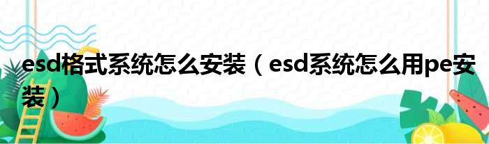 esd格式系统怎么安装（esd系统怎么用pe安装）