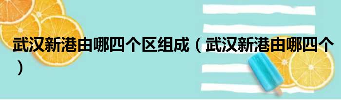 武汉新港由哪四个区组成（武汉新港由哪四个）