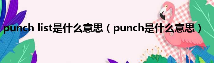 punch list是什么意思（punch是什么意思）