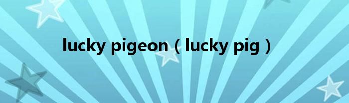  lucky pigeon（lucky pig）