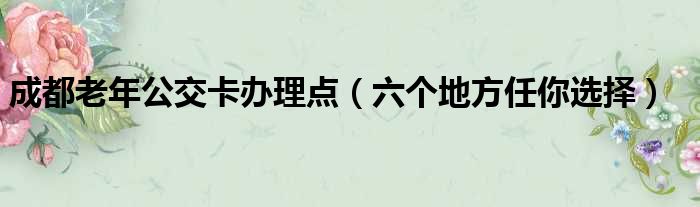 成都老年公交卡办理点（六个地方任你选择）