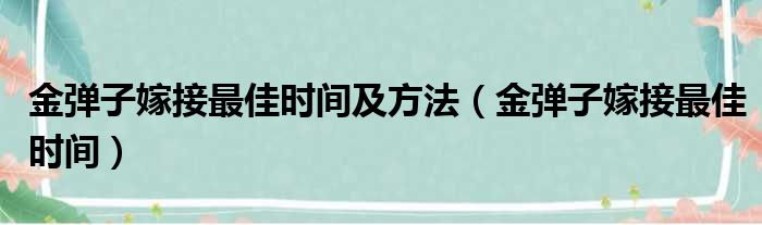 金弹子嫁接最佳时间及方法（金弹子嫁接最佳时间）