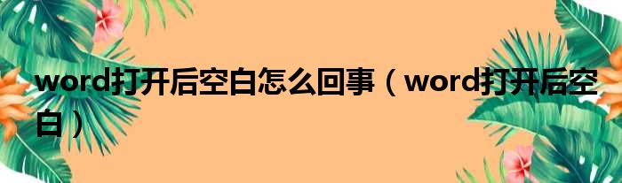 word打开后空白怎么回事（word打开后空白）