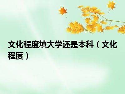 文化程度填大学还是本科（文化程度）