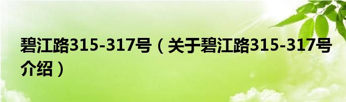  碧江路315-317号（关于碧江路315-317号介绍）