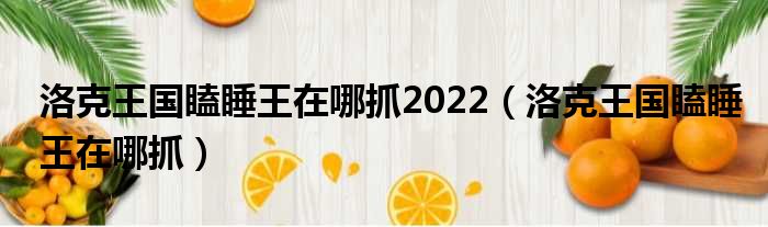 洛克王国瞌睡王在哪抓2022（洛克王国瞌睡王在哪抓）