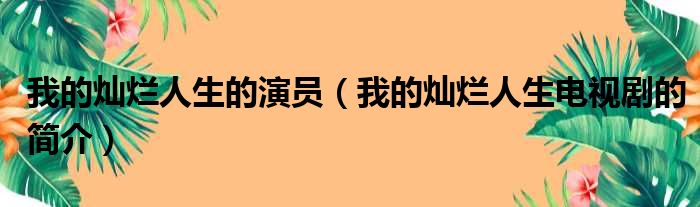 我的灿烂人生的演员（我的灿烂人生电视剧的简介）