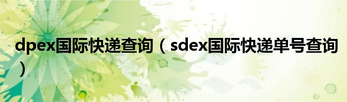 dpex国际快递查询（sdex国际快递单号查询）