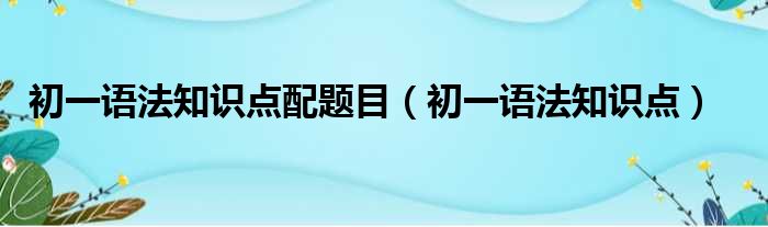 初一语法知识点配题目（初一语法知识点）