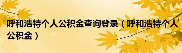 呼和浩特个人公积金查询登录（呼和浩特个人公积金）