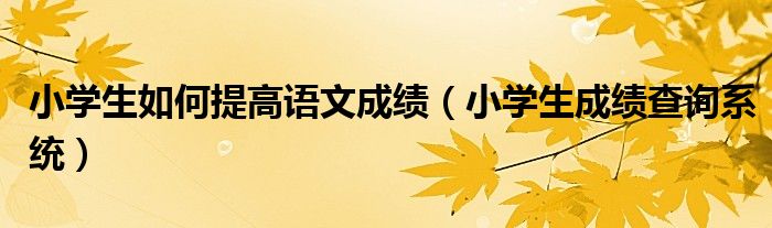 小学生如何提高语文成绩（小学生成绩查询系统）