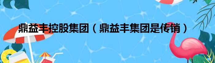 鼎益丰控股集团（鼎益丰集团是传销）