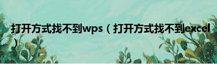 打开方式找不到wps（打开方式找不到excel）