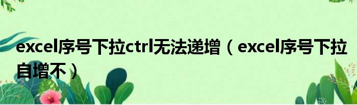 excel序号下拉ctrl无法递增（excel序号下拉自增不）