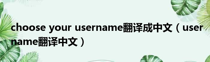 choose your username翻译成中文（username翻译中文）