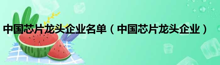 中国芯片龙头企业名单（中国芯片龙头企业）