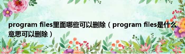 program files里面哪些可以删除（program files是什么意思可以删除）