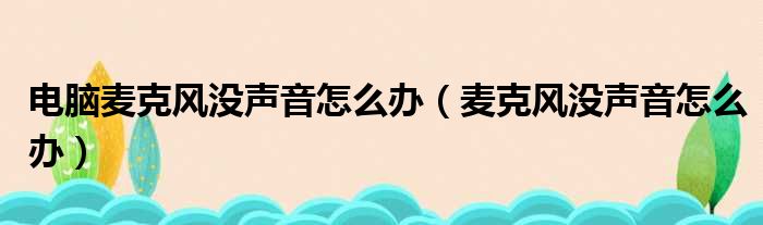 电脑麦克风没声音怎么办（麦克风没声音怎么办）