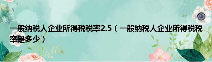 一般纳税人企业所得税税率2.5（一般纳税人企业所得税税率是多少）