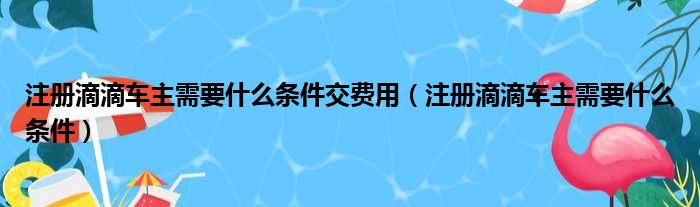 注册滴滴车主需要什么条件交费用（注册滴滴车主需要什么条件）