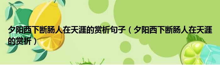 夕阳西下断肠人在天涯的赏析句子（夕阳西下断肠人在天涯的赏析）