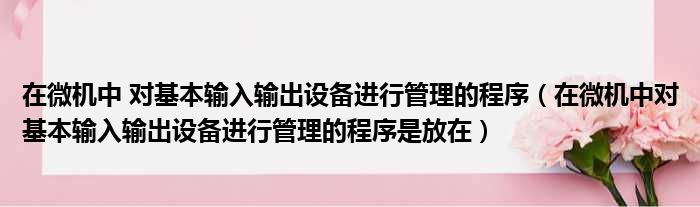 在微机中 对基本输入输出设备进行管理的程序（在微机中对基本输入输出设备进行管理的程序是放在）