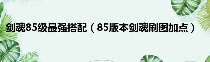 剑魂85级最强搭配（85版本剑魂刷图加点）