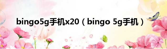 bingo5g手机x20（bingo 5g手机）