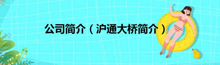 公司简介（沪通大桥简介）