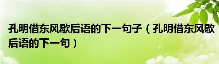  孔明借东风歇后语的下一句子（孔明借东风歇后语的下一句）