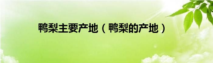  鸭梨主要产地（鸭梨的产地）