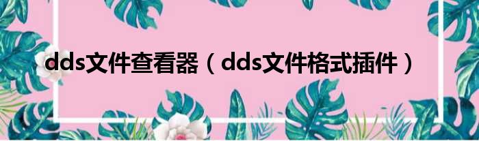 dds文件查看器（dds文件格式插件）