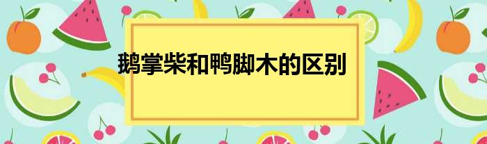 鹅掌柴和鸭脚木的区别