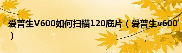  爱普生V600如何扫描120底片（爱普生v600）