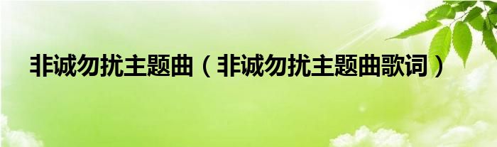 非诚勿扰主题曲（非诚勿扰主题曲歌词）