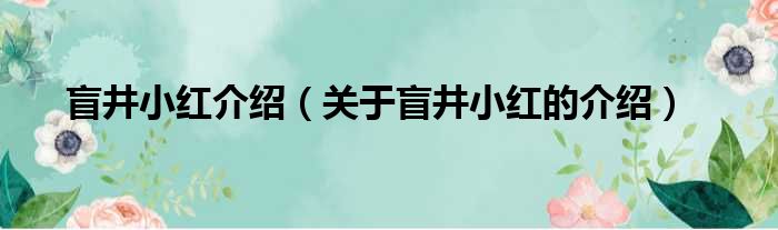 盲井小红介绍（关于盲井小红的介绍）