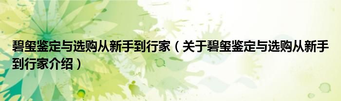  碧玺鉴定与选购从新手到行家（关于碧玺鉴定与选购从新手到行家介绍）