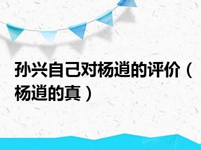 孙兴自己对杨逍的评价（杨逍的真）