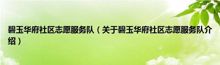  碧玉华府社区志愿服务队（关于碧玉华府社区志愿服务队介绍）