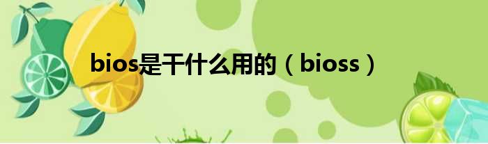 bios是干什么用的（bioss）