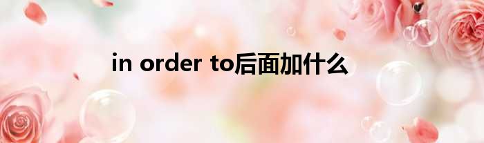 in order to后面加什么